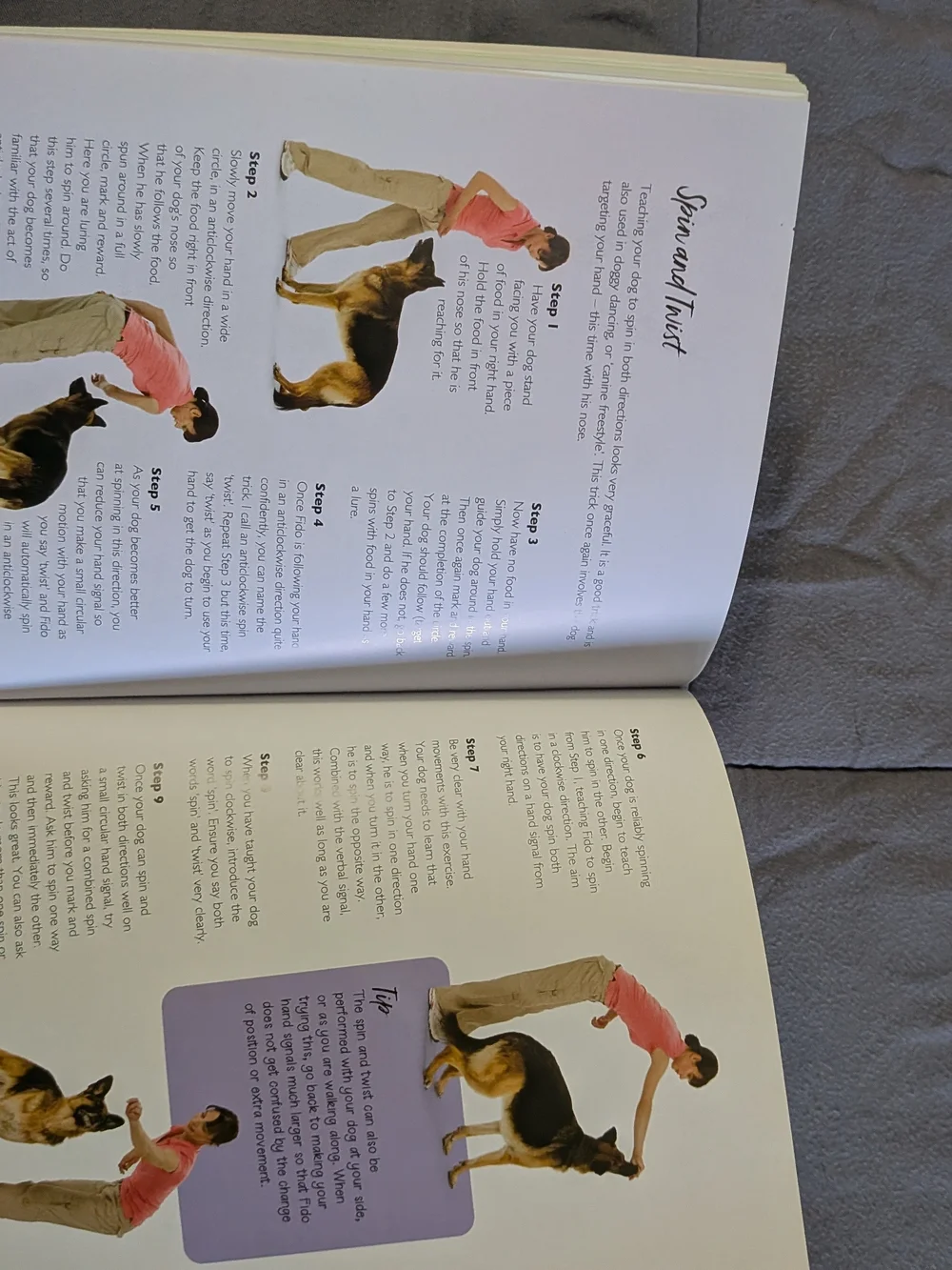 Dog Tricks & Training Book Puppy Obedience Guide Teach Commands Hinkler Paperbac